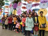 三八妇女节踏春游活动